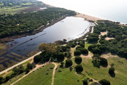 Terreno para Venda em Quarteira