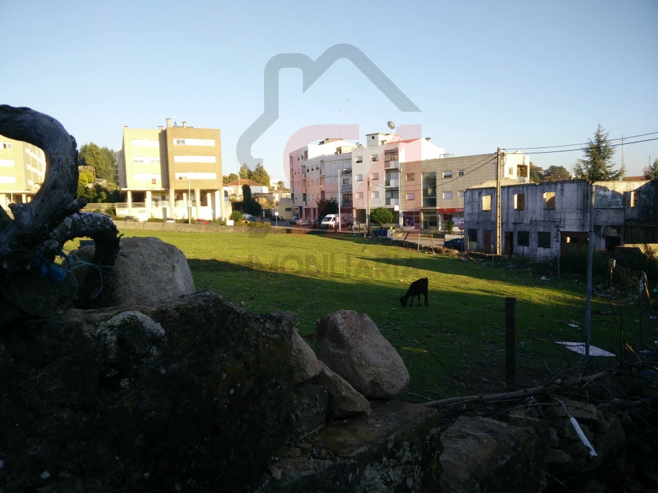 Terreno para Venda em Freamunde Foto 5