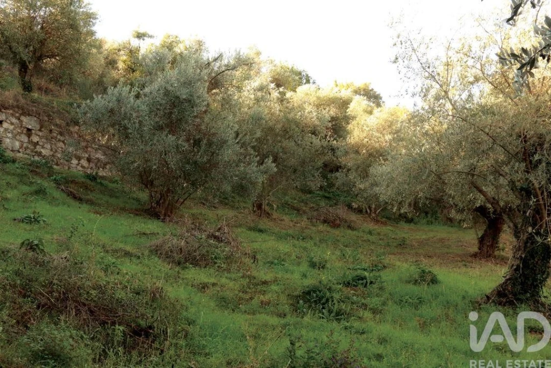 Moradia T14 para Venda em Vilarinho dos Freires Foto 22