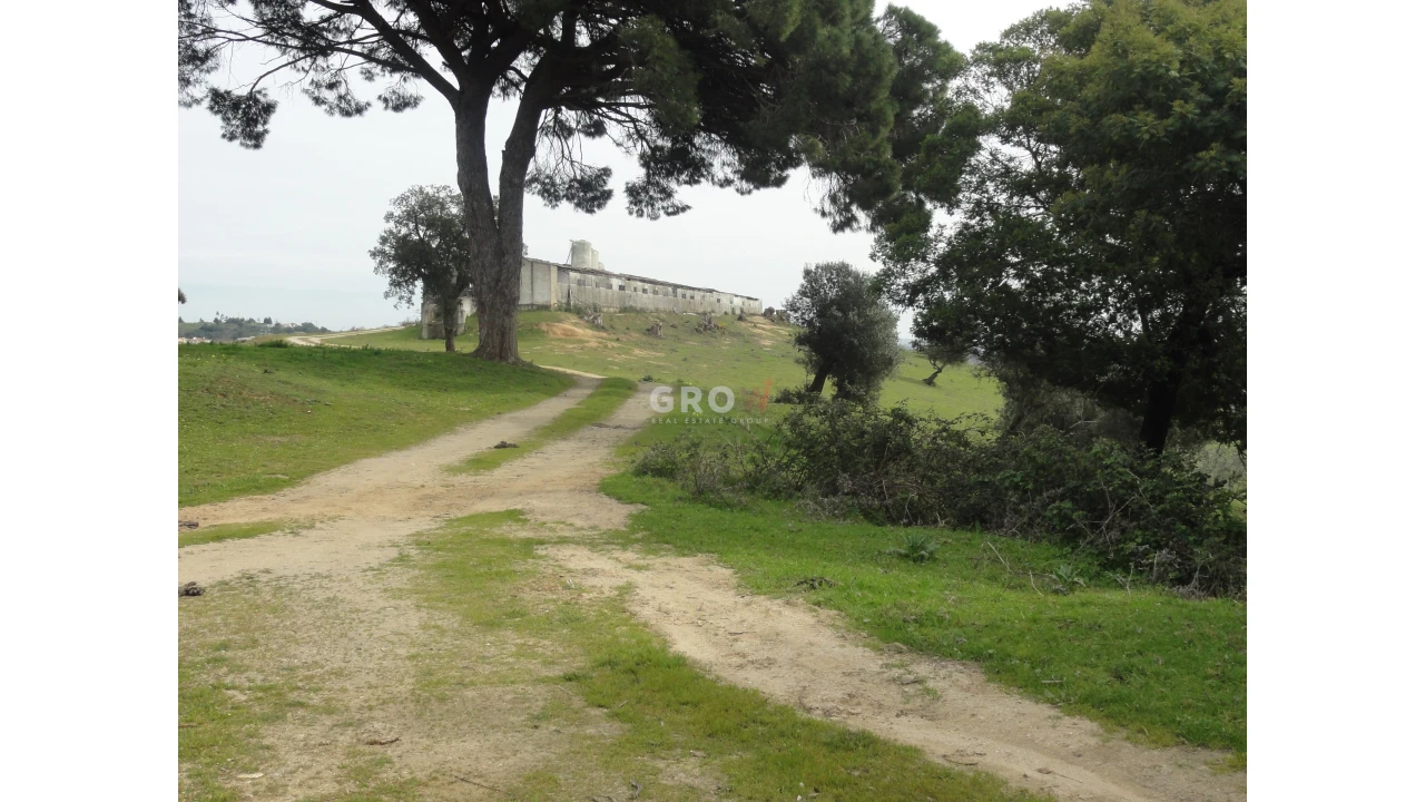 Terreno para Venda em Azambuja Foto 24