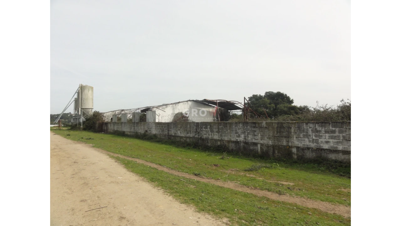 Terreno para Venda em Azambuja Foto 28