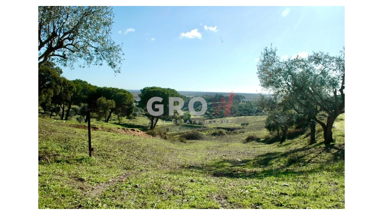 Terreno para Venda em Azambuja Foto 10