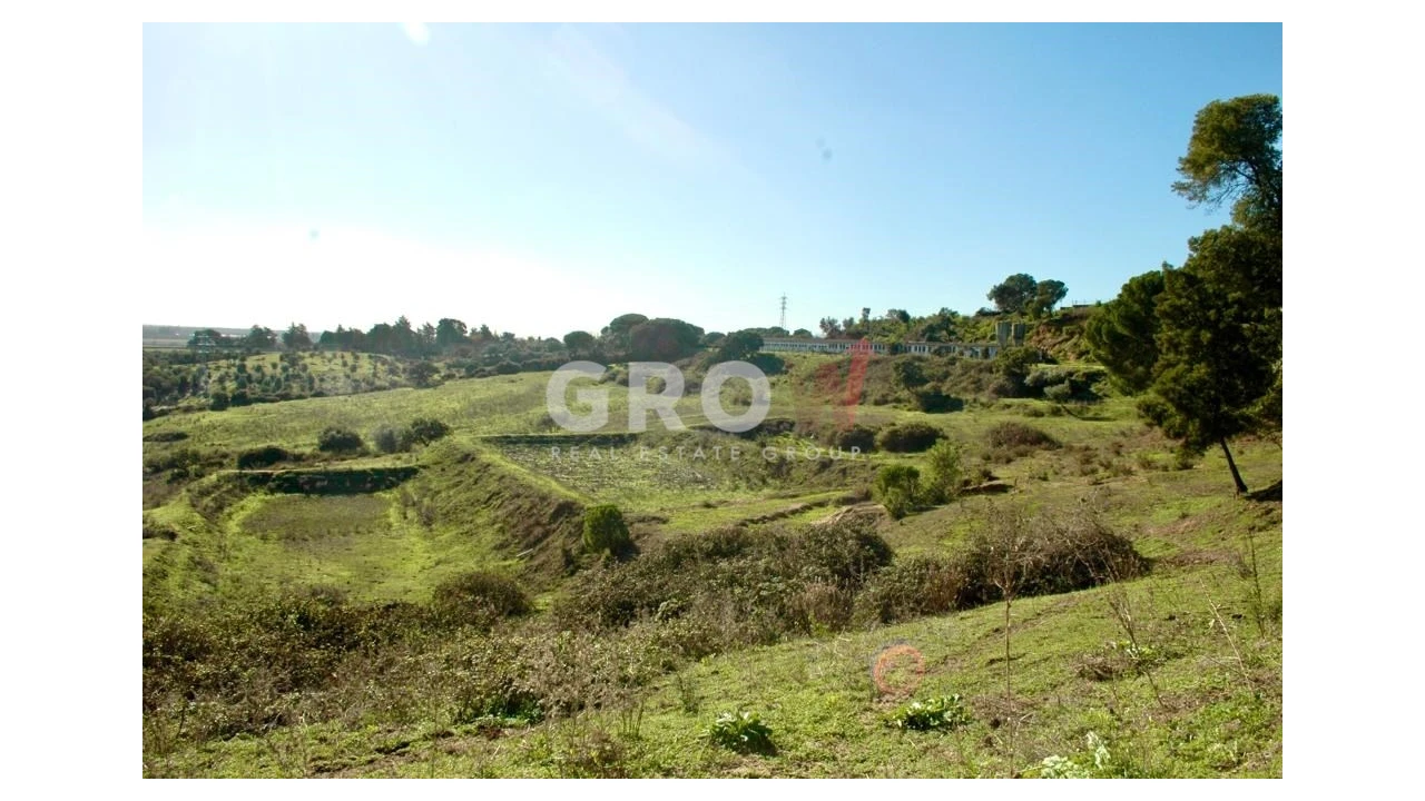 Terreno para Venda em Azambuja Foto 14