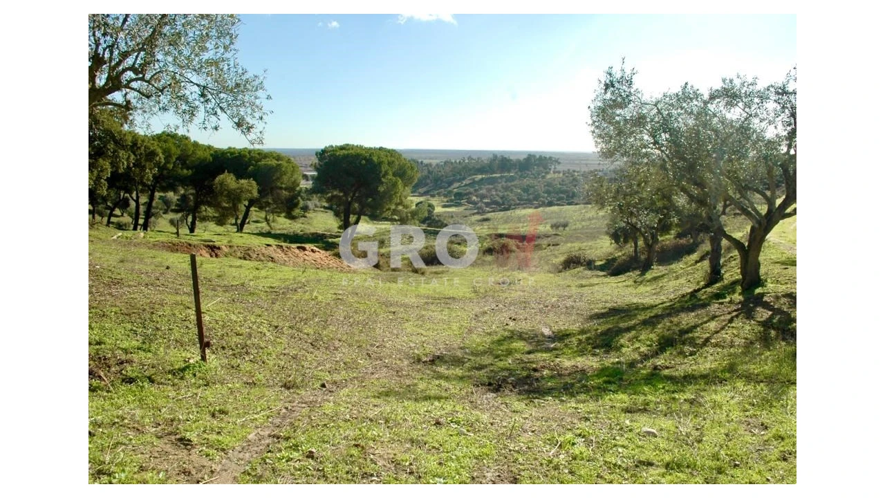 Terreno para Venda em Azambuja Foto 9