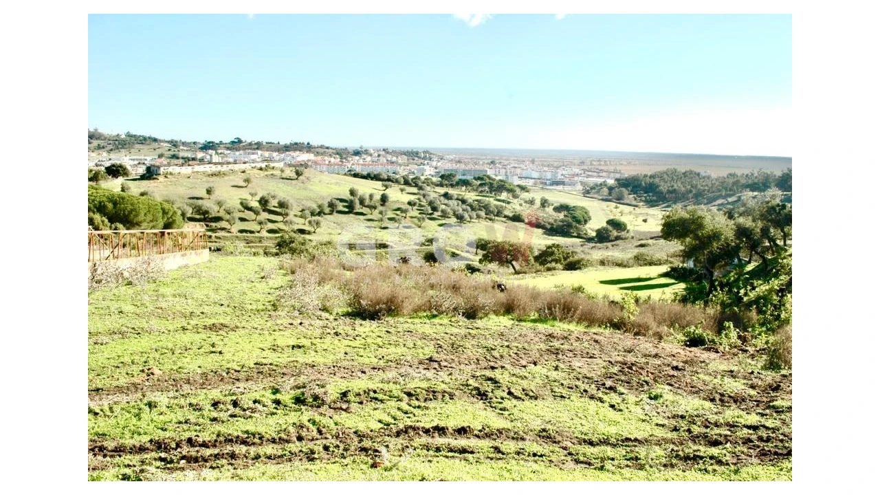Terreno para Venda em Azambuja Foto 6