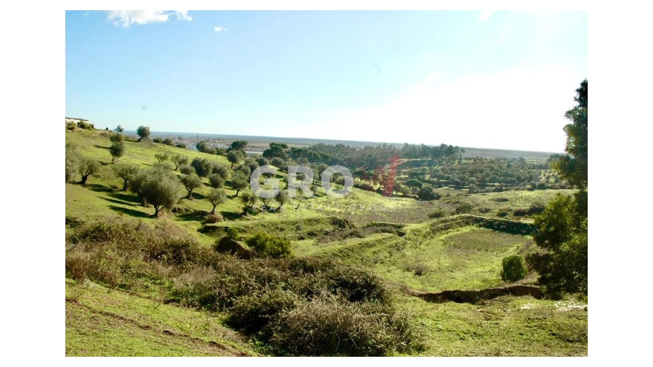 Terreno para Venda em Azambuja Foto 13