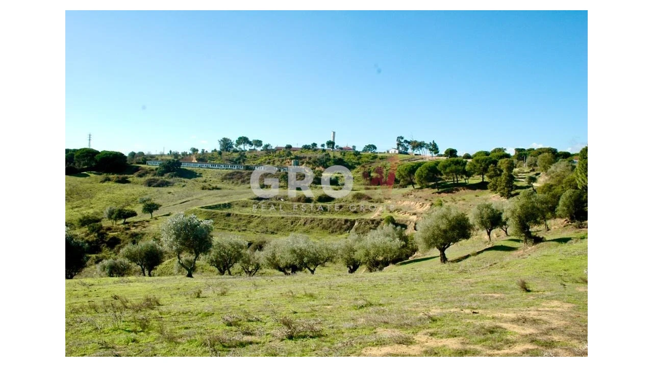 Terreno para Venda em Azambuja Foto 16