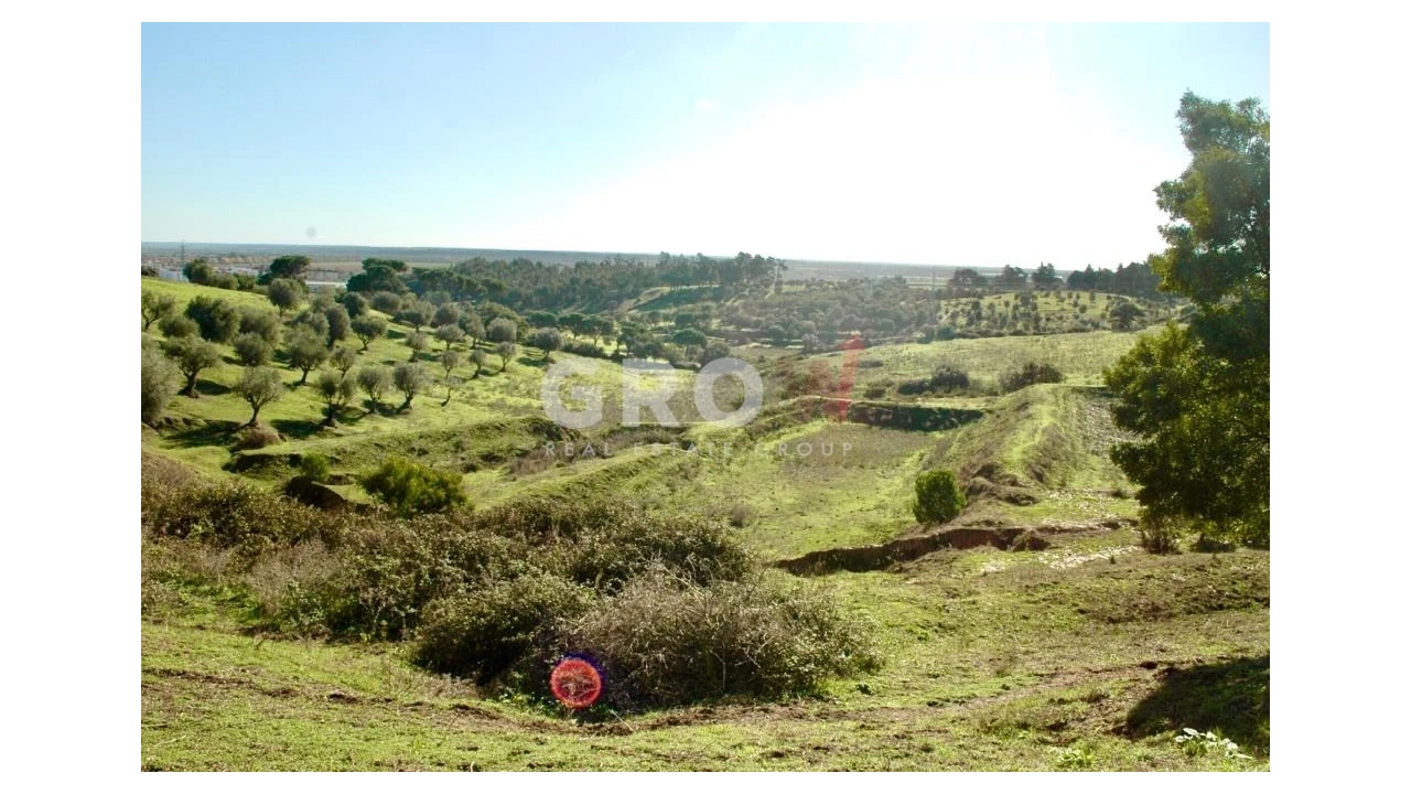 Terreno para Venda em Azambuja Foto 1