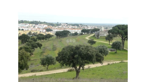 Terreno para Venda em Azambuja