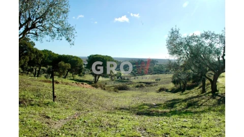 Terreno para Venda em Azambuja