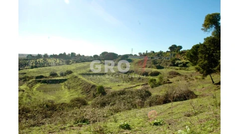 Terreno para Venda em Azambuja