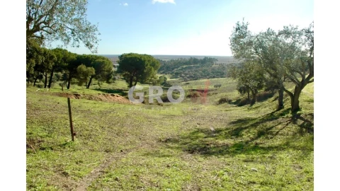 Terreno para Venda em Azambuja