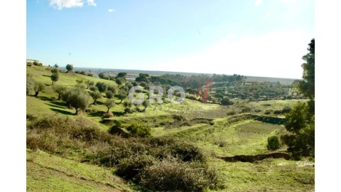 Terreno para Venda em Azambuja