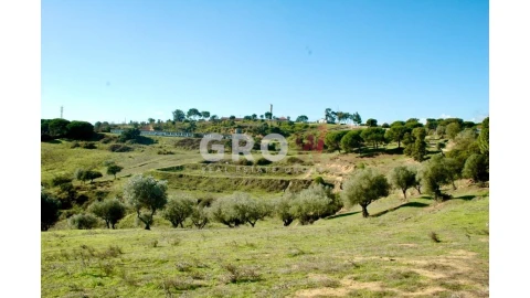 Terreno para Venda em Azambuja