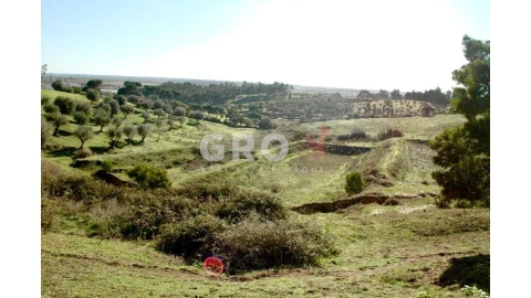 Terreno para Venda em Azambuja
