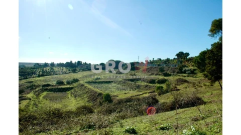 Terreno para Venda em Azambuja