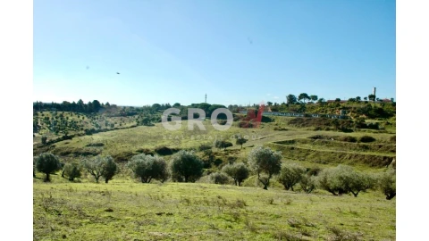 Terreno para Venda em Azambuja