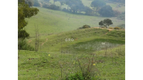 Terreno para Venda em Azambuja