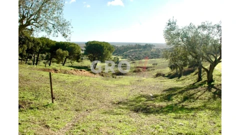 Terreno para Venda em Azambuja