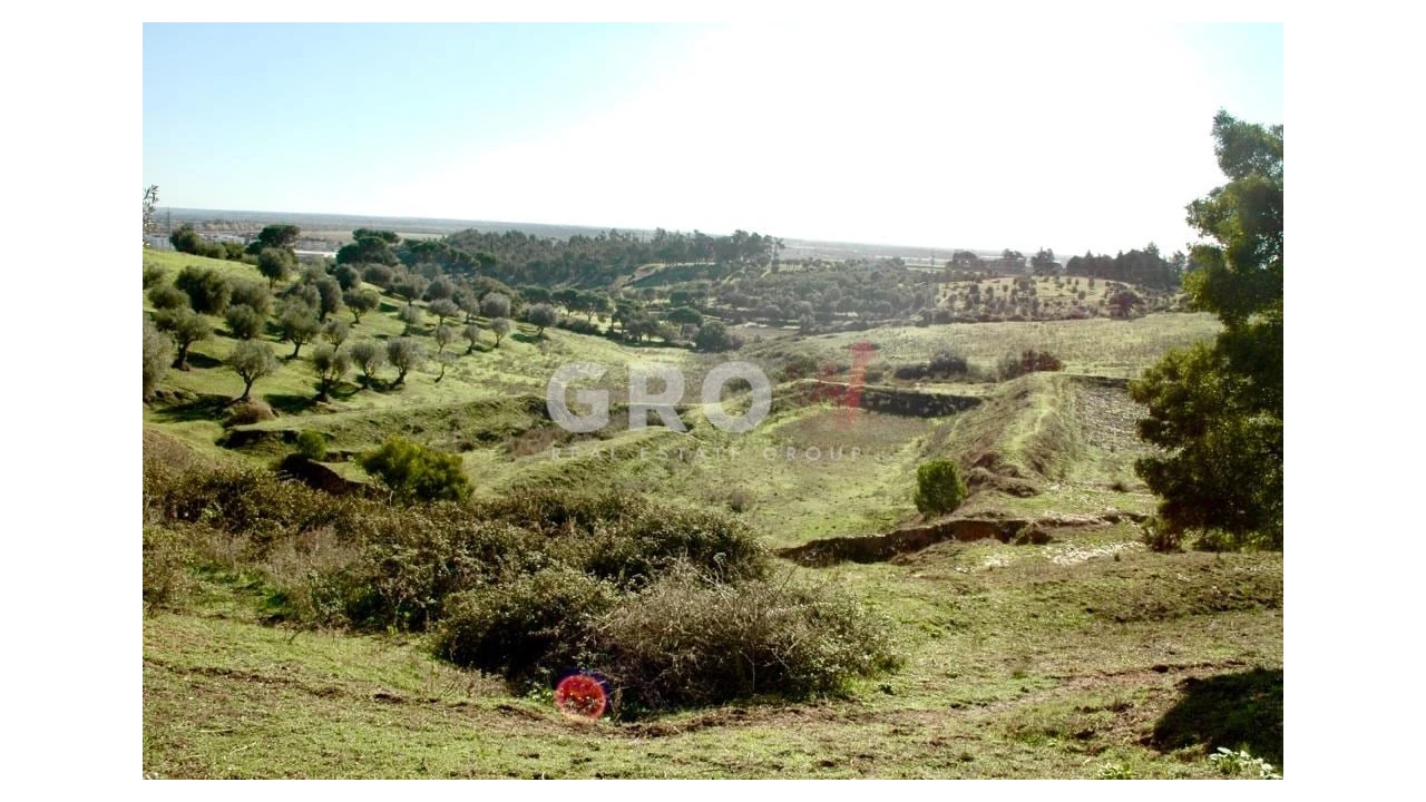 Terreno para Venda em Azambuja Foto 11