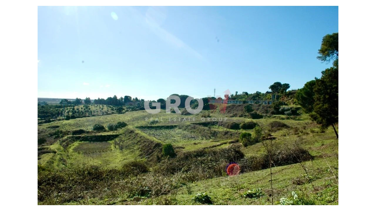 Terreno para Venda em Azambuja Foto 15