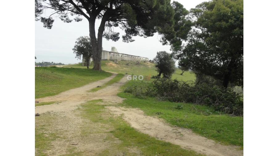 Terreno para Venda em Azambuja Foto 24