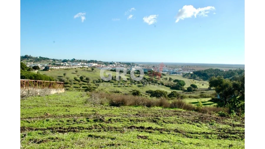 Terreno para Venda em Azambuja Foto 5
