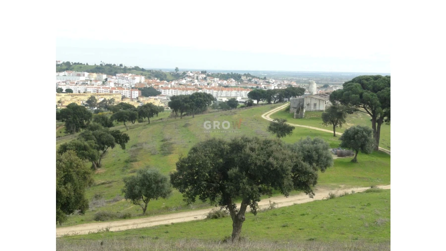 Terreno para Venda em Azambuja Foto 21