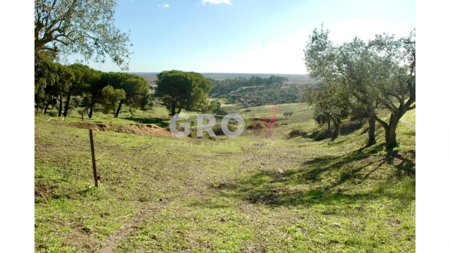 Terreno para Venda em Azambuja Foto 9