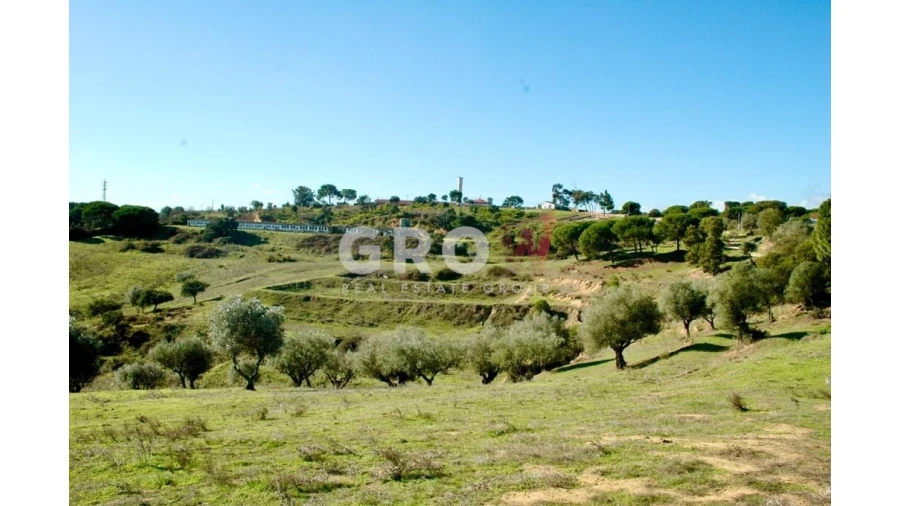 Terreno para Venda em Azambuja Foto 16