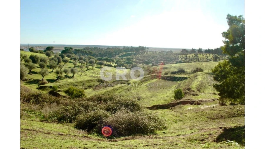 Terreno para Venda em Azambuja