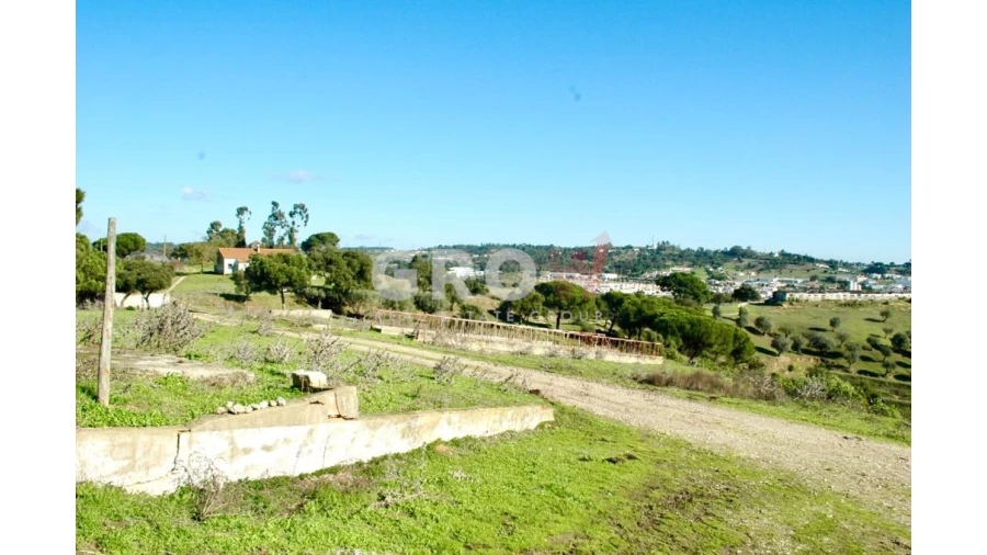 Terreno para Venda em Azambuja Foto 3