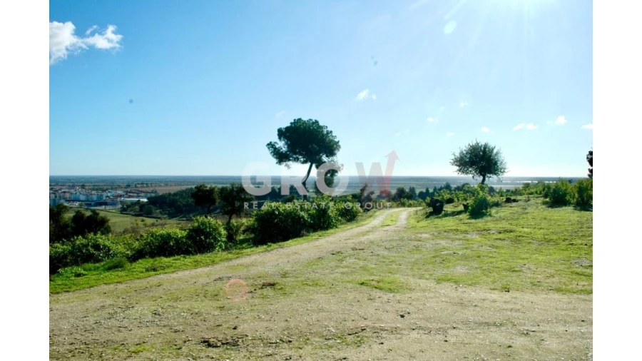 Terreno para Venda em Azambuja Foto 2