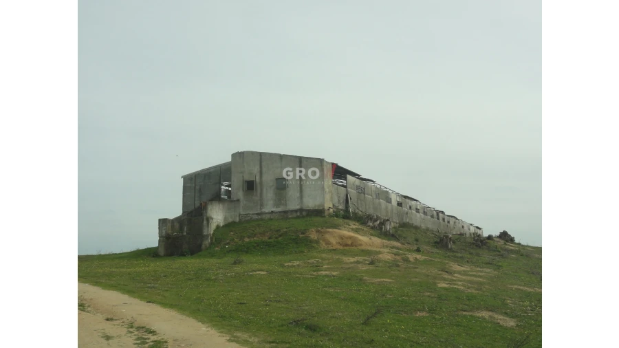 Terreno para Venda em Azambuja Foto 25