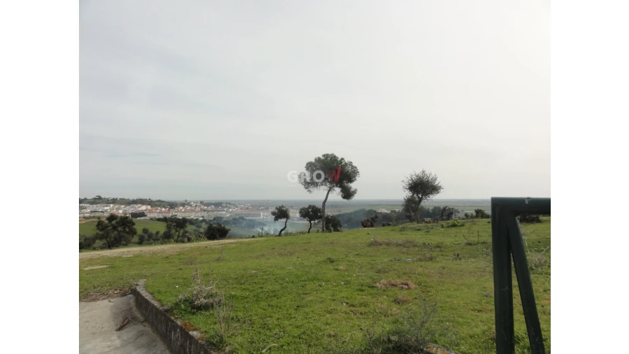 Terreno para Venda em Azambuja Foto 22