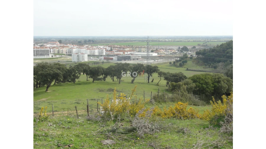 Terreno para Venda em Azambuja Foto 27