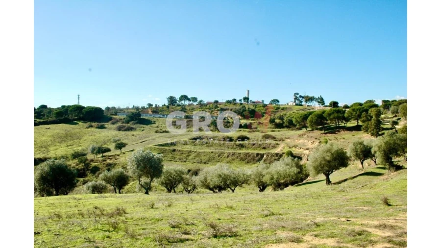 Terreno para Venda em Azambuja Foto 12