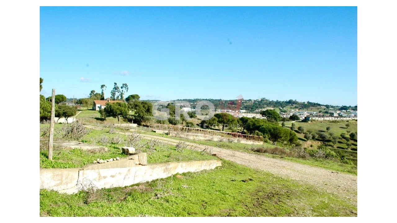 Terreno para Venda em Azambuja Foto 3