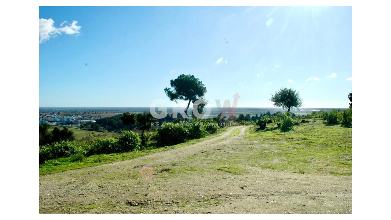 Terreno para Venda em Azambuja Foto 2