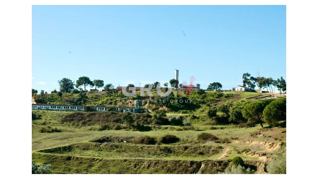 Terreno para Venda em Azambuja Foto 18