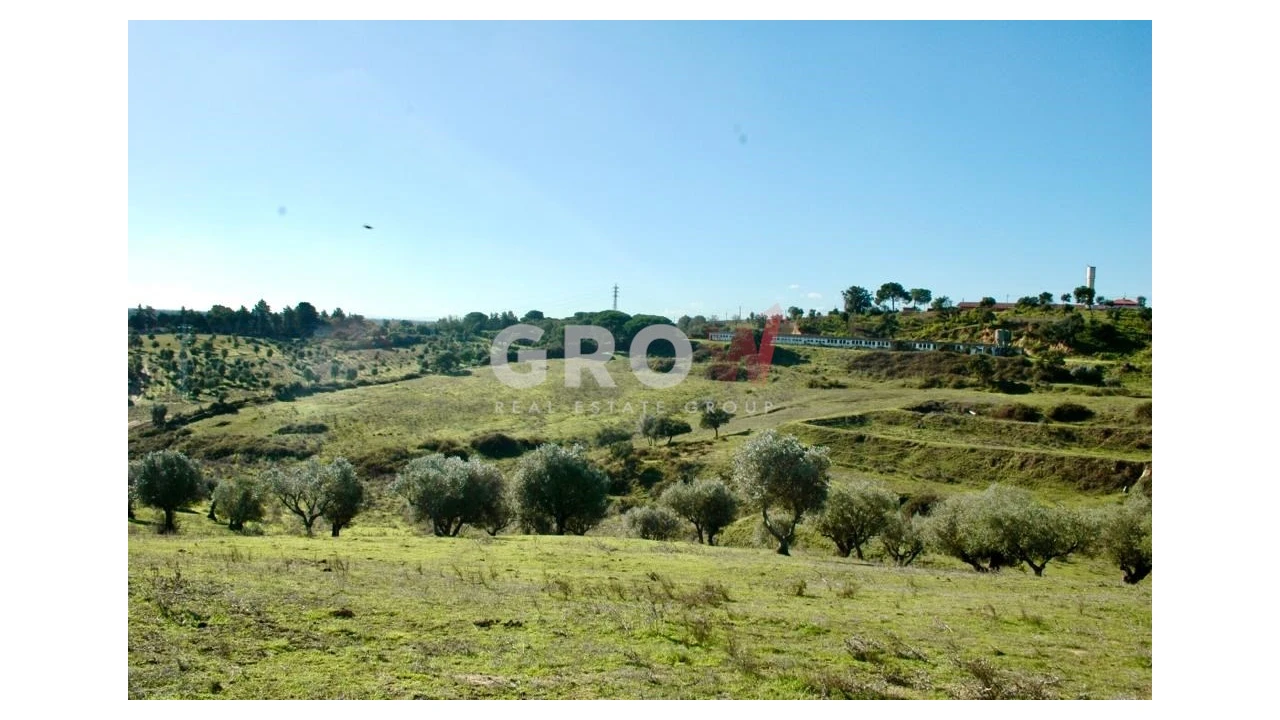 Terreno para Venda em Azambuja Foto 17