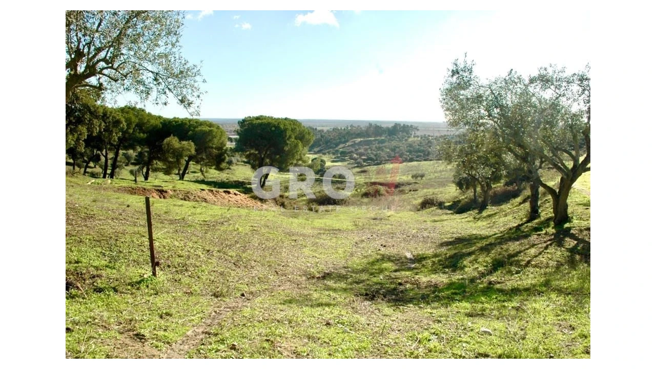 Terreno para Venda em Azambuja Foto 8