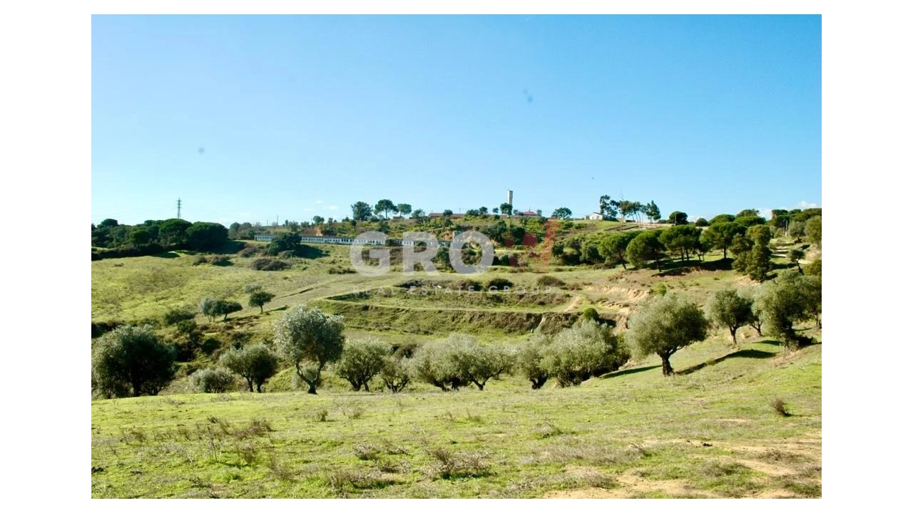 Terreno para Venda em Azambuja Foto 12