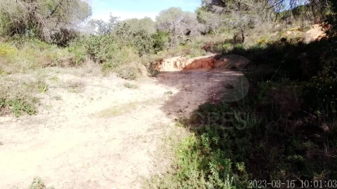 Terreno para Venda em Almancil