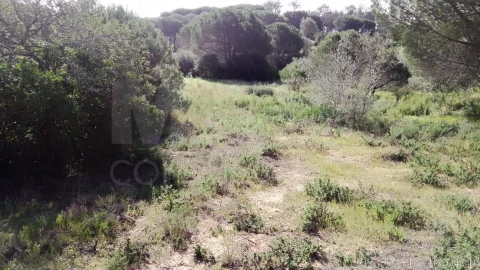 Terreno para Venda em Almancil