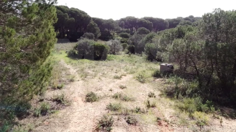 Terreno para Venda em Almancil