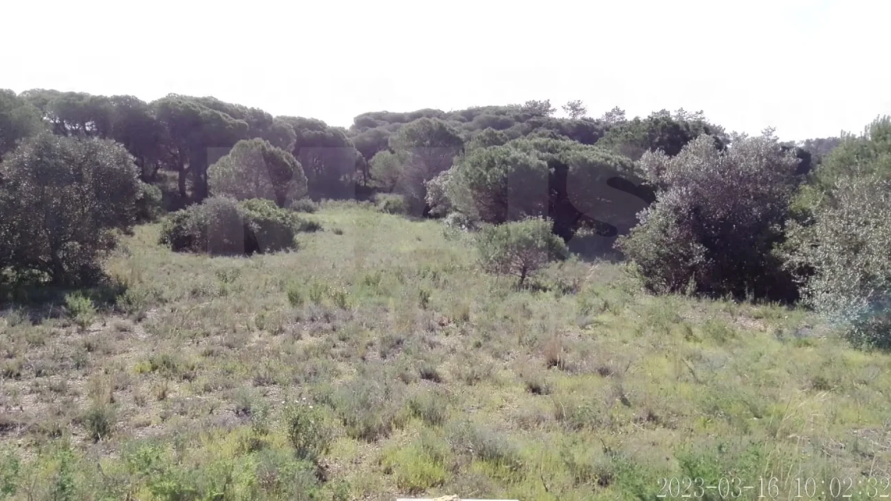 Terreno para Venda em Almancil Foto 5
