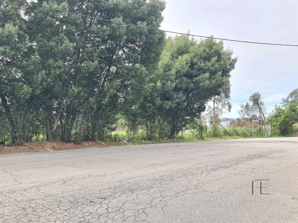 Terreno para Venda em Rio Meão Foto 4