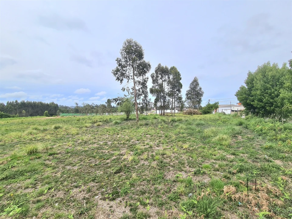 Terreno para Venda em Rio Meão Foto 3