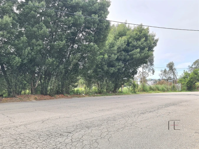 Terreno para Venda em Rio Meão Foto 4